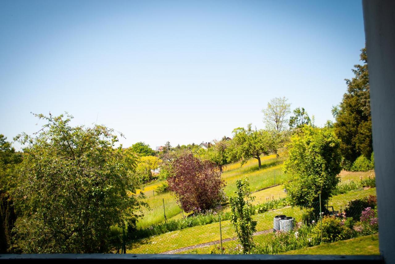 Ferienwohnungheimatgefuehl Rimpar エクステリア 写真